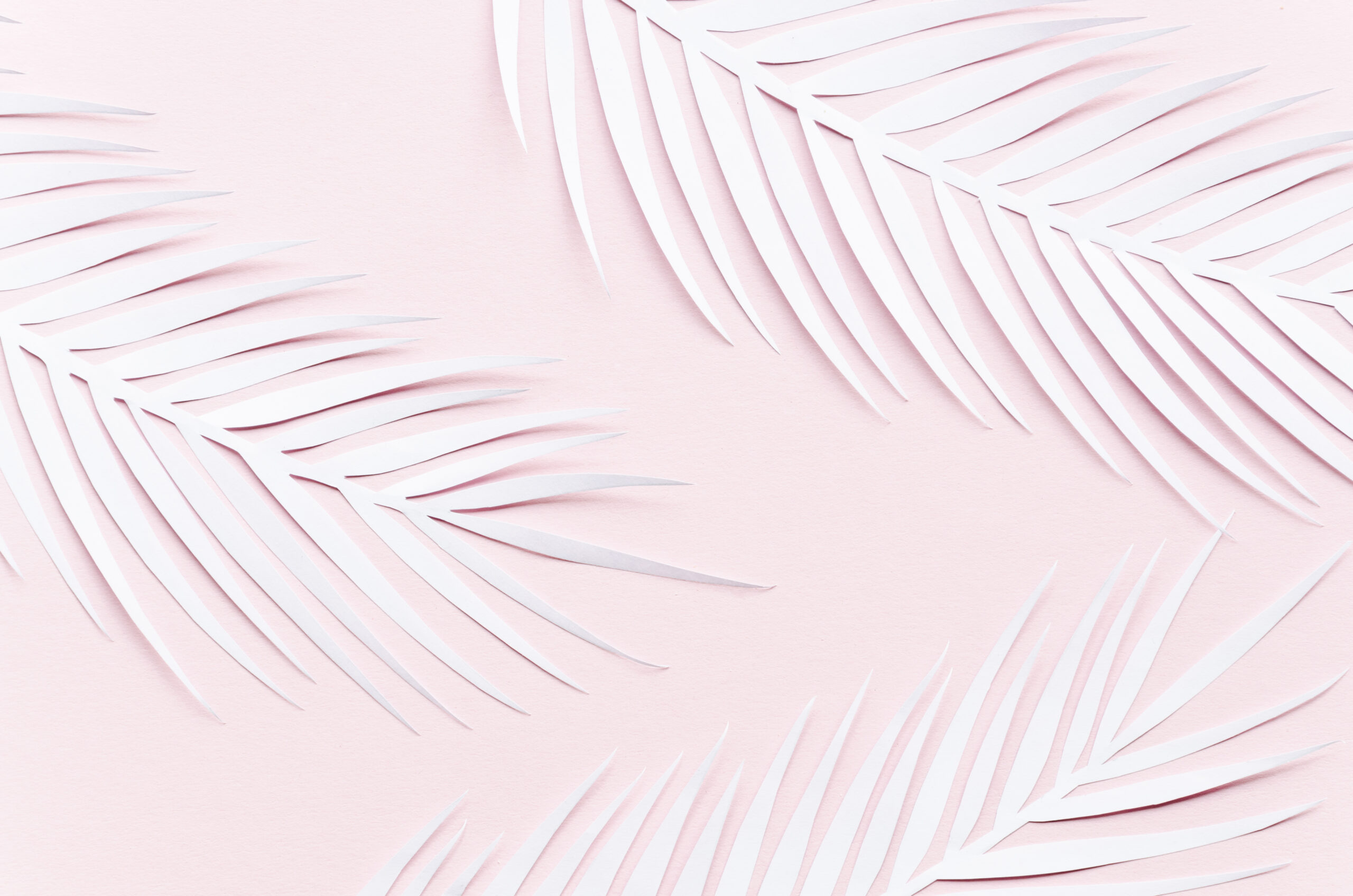 trzy papierowe liscie palmowe na rozowym stole